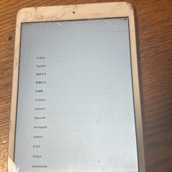 iPad 