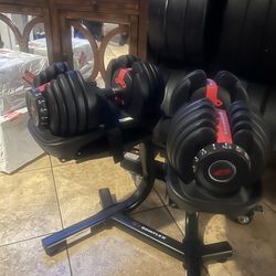 Bowflex adjustable dumbbells with stand