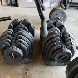 Workout Weights 