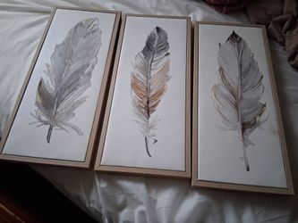 Brand New Feather Print Wall Pictures.