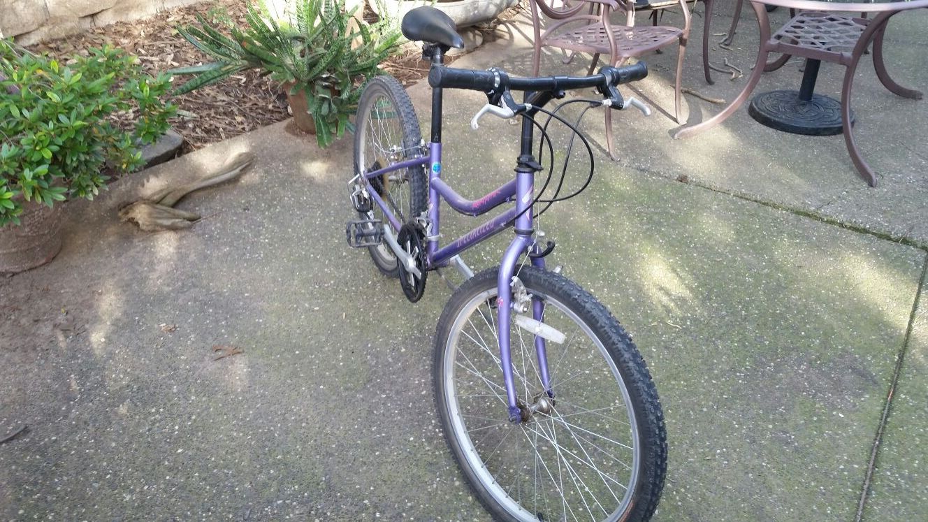 Specialized Rock Hopper girls 24" bicycle