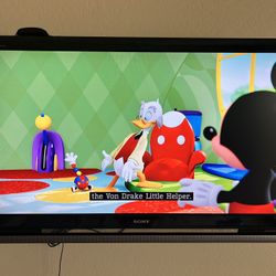 Sony TV w/Bravia sync