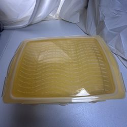 Marinade Tray And Snap Lid Set Party BBQ