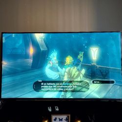 Hisense 70" $450