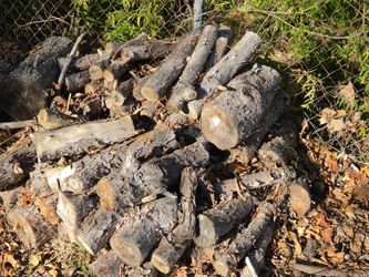 Firewood.