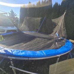 Trampoline!