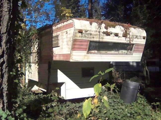 Free Camper