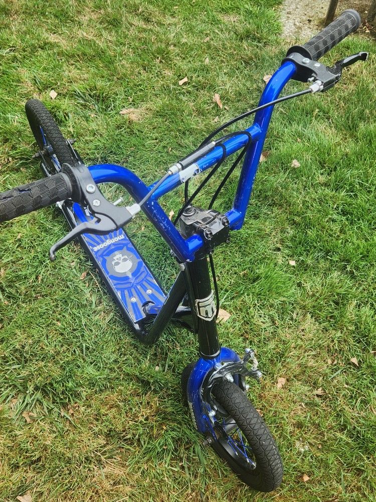 Blue Mongoose Expo Scooter (Flexible Price)