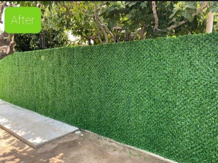 Privacy Fence, Artifical Grass