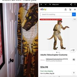 Adult Costume 