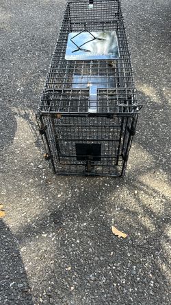 Live animal cage trap