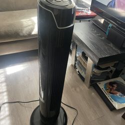 Fan