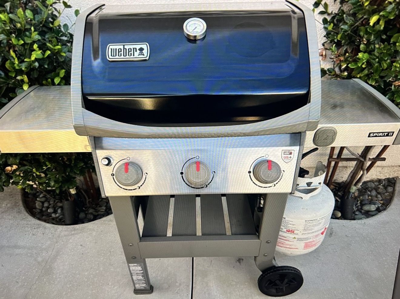 Weber Spirit II