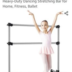 Portable Workout BARRE BAR SILVER exercise