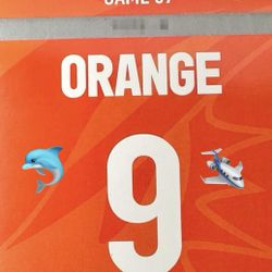 Dolphins Parking Pass 🅿️ 