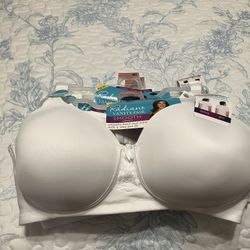  Vanity Bra’s