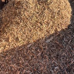 Free Wood Chips In Aurora 