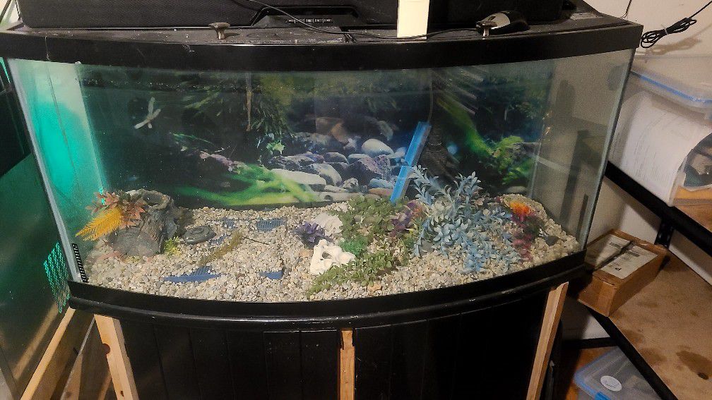 55 Gallon Fish Tank Full Start Up $ 50 