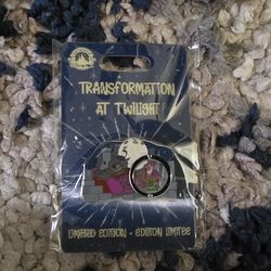Robin Hood Disney Pin Transformation At Twilight