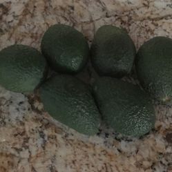 Aguacates Noturalez
