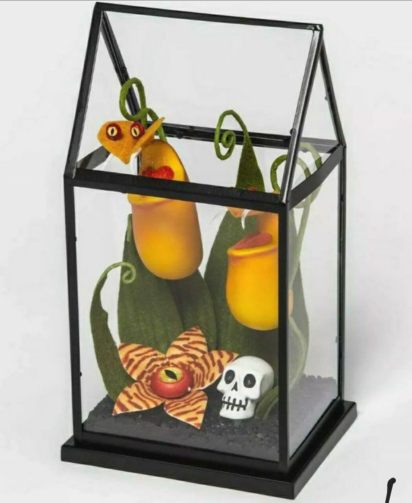 Halloween Hyde & Eek Boutique Yellow Creepy Face Faux Plants Terrarium