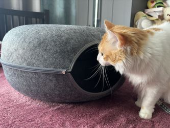 Big Bed For Pets / Toy For Pets