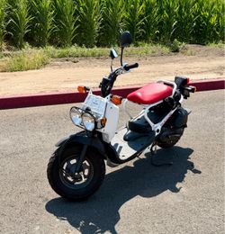 Honda Ruckus *Low Miles*