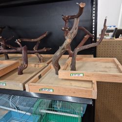 Table Top. Manzanita Bird Stand 