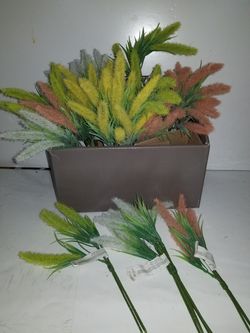 24 Ashaland mini bouquet. $50 value