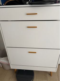 Shoe storage cabinet