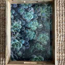 Succulent Printed Serving Tray