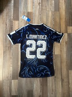 Argentina Away World Cup Jersey, L.Martinez #22