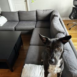 IKEA Karlstäd L Shaped Sectional Couch