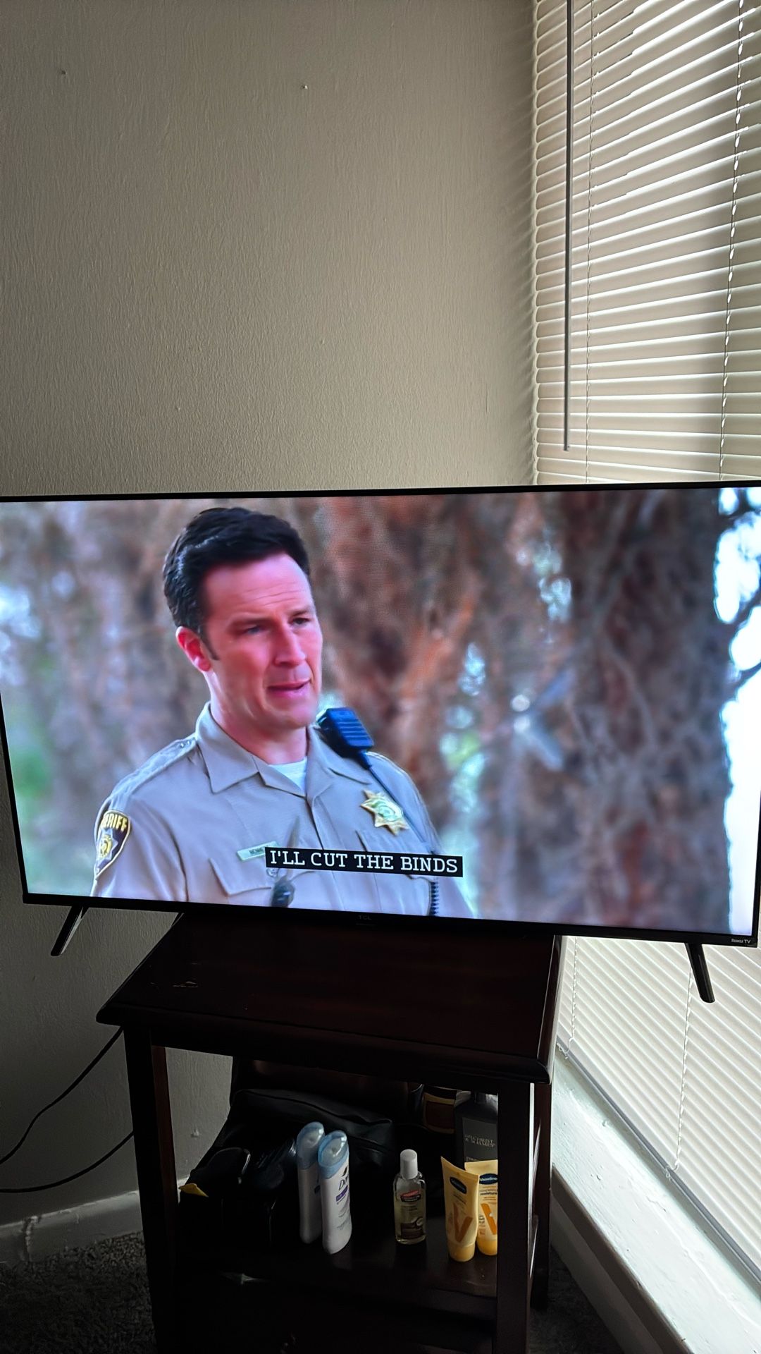 43 Inch TCL Roku