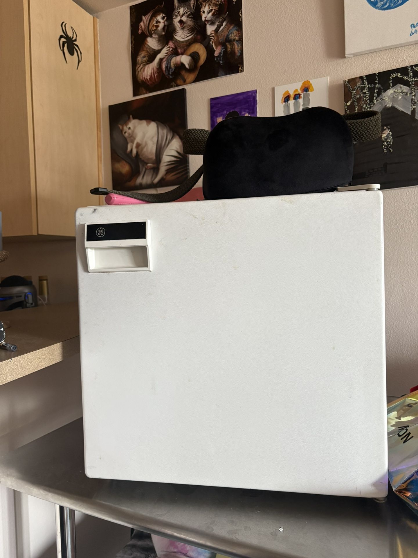 Mini Fridge