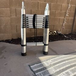 Telescoping Ladder 