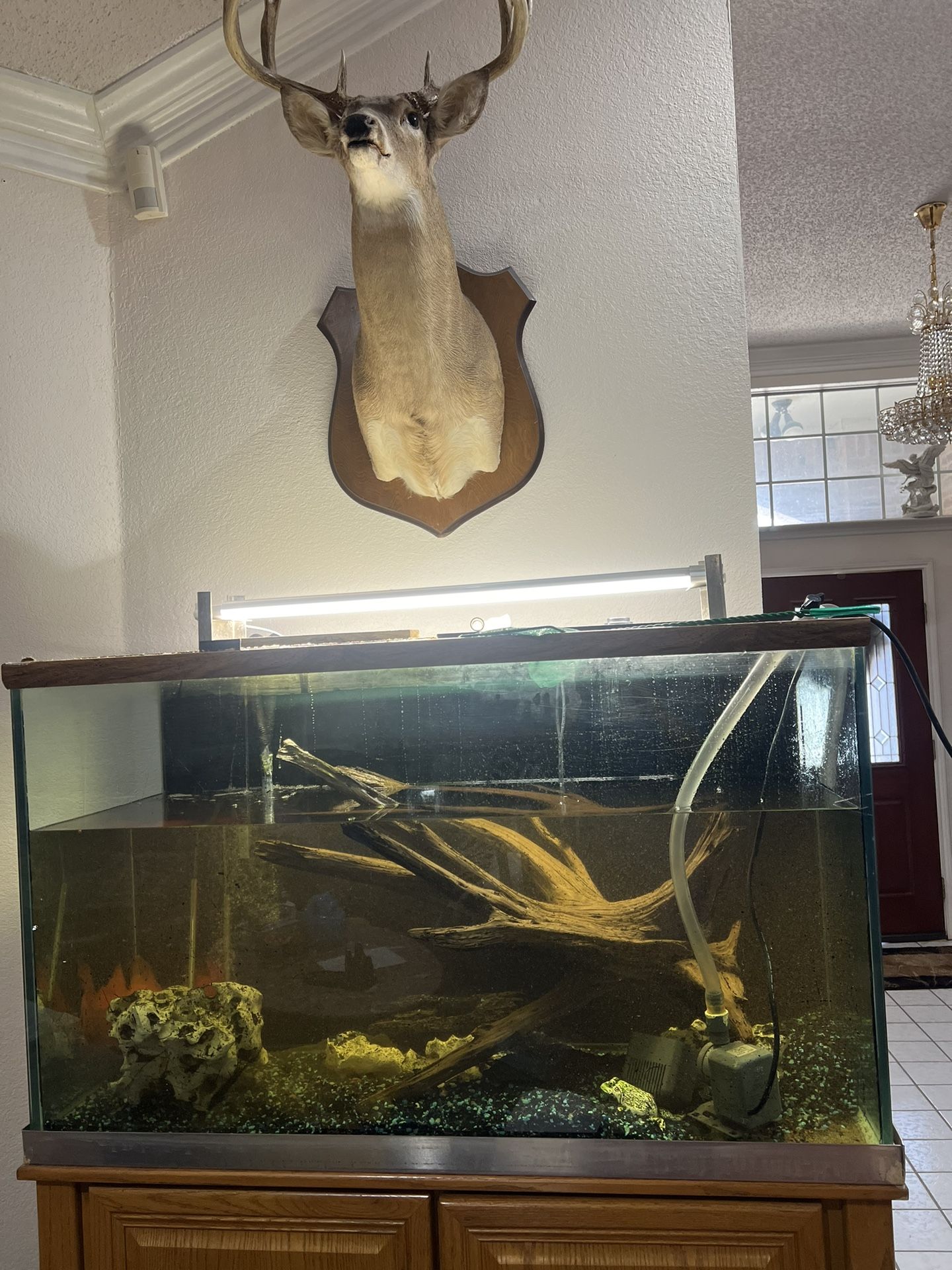 120 Gallons Fish Tank