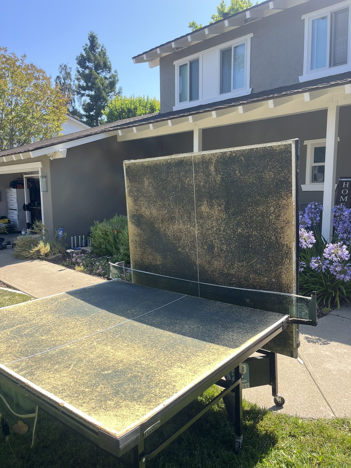 Ping Pong Table