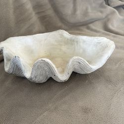 Sea shell decor