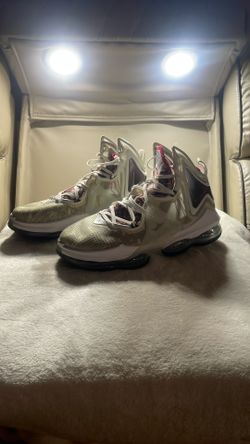 LeBron Shoes