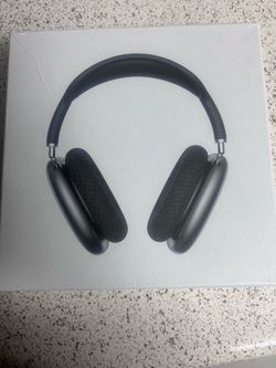 Air pod max