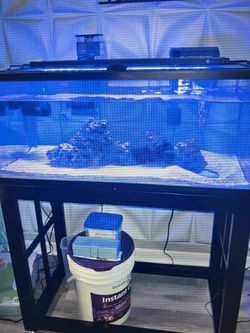 40 Gallon Tank