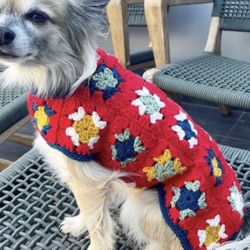 Crochet Dog  Sweater 