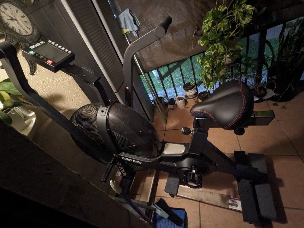 Rouge Echo Bike - Exercise Bike