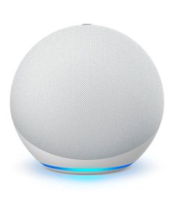 Alexa Echo