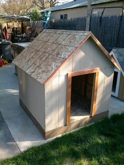 Primmered Siding XXXL Dog House