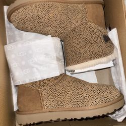 UGGS 