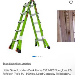 Escalera little giant dark horse
