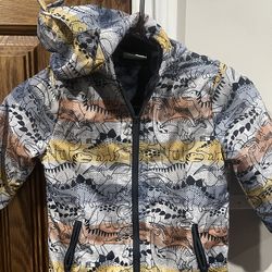 4T Dinasour Rain Jacket and Converse