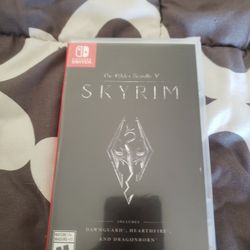 Skyrim switch best sale for sale